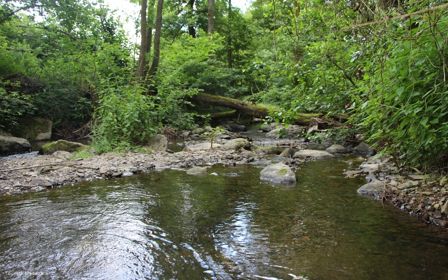 Die Orke bei Medelon