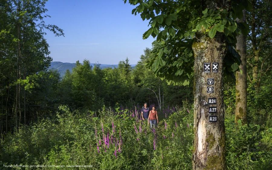 Wandern zwischen Fingerhüten