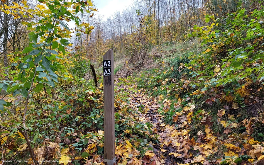 Wandern auf den Weddelbergrundwegen