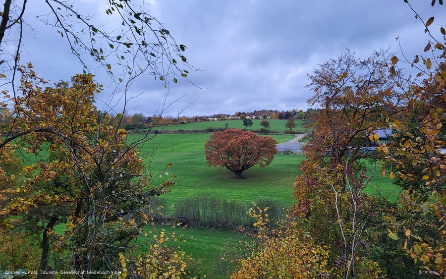 Blick vom Weddelberg im Herbst