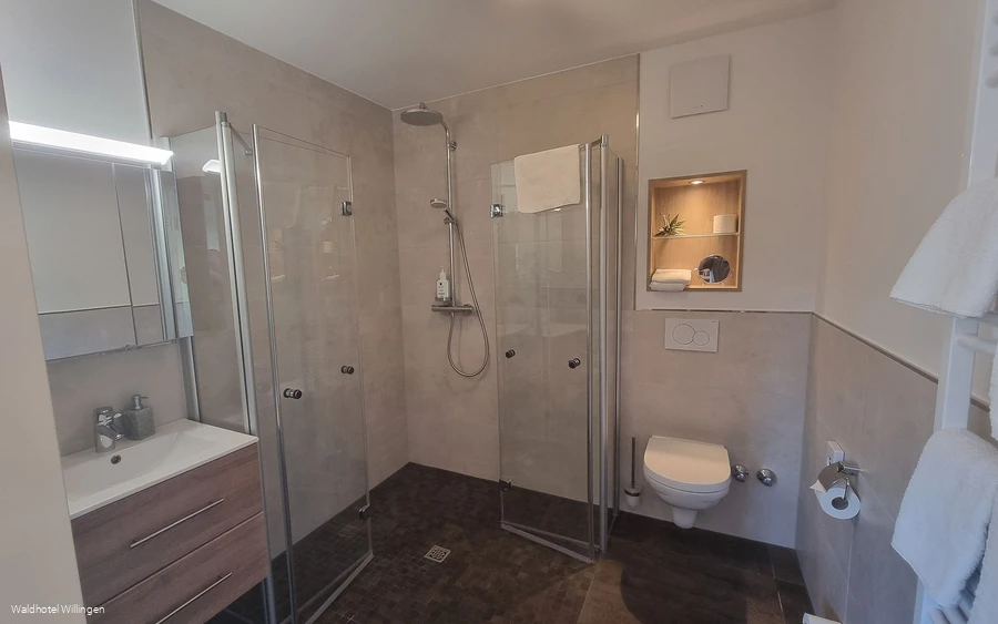 Waldhotel Willingen Badezimmer Waldhotel Willingen Badezimmer
