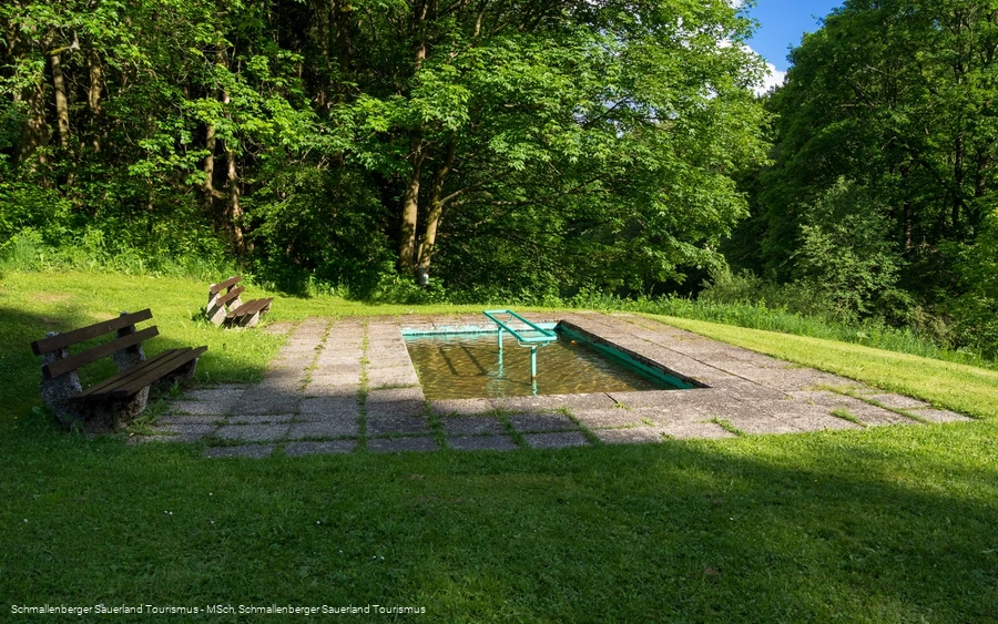 2446227
