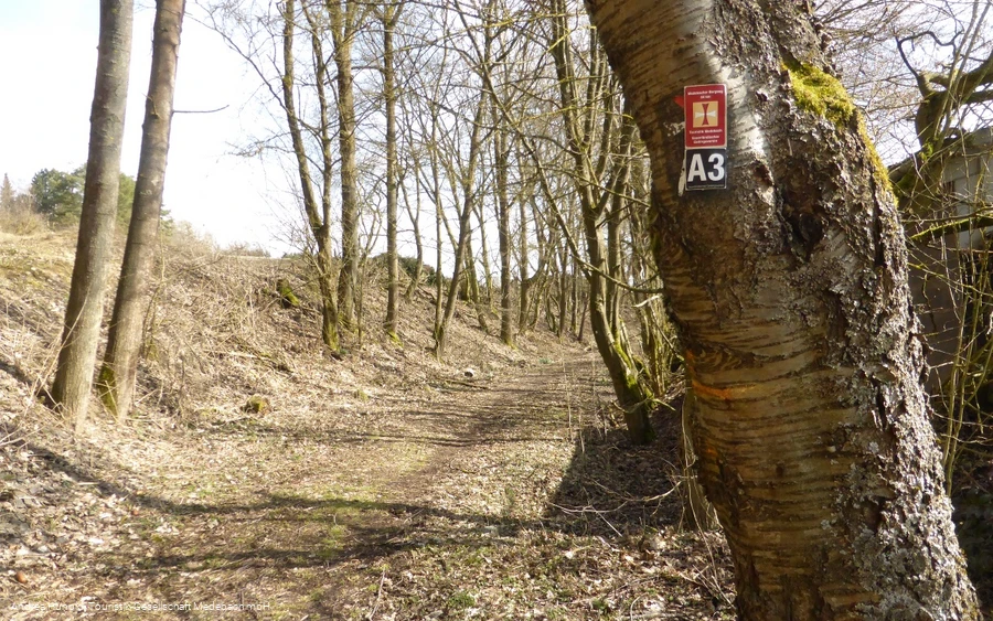 Weddelbergrundweg A3