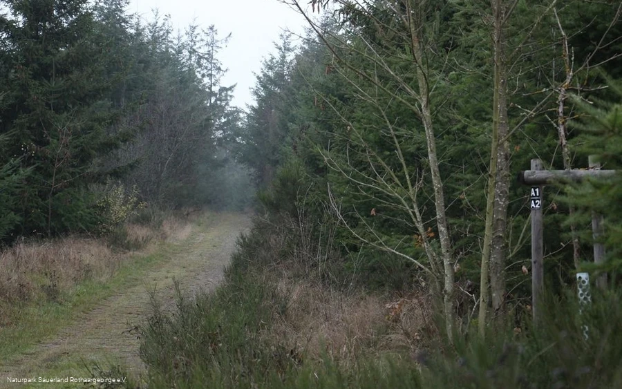Landschaftsimpressionen nahe des Wanderparkplatzes