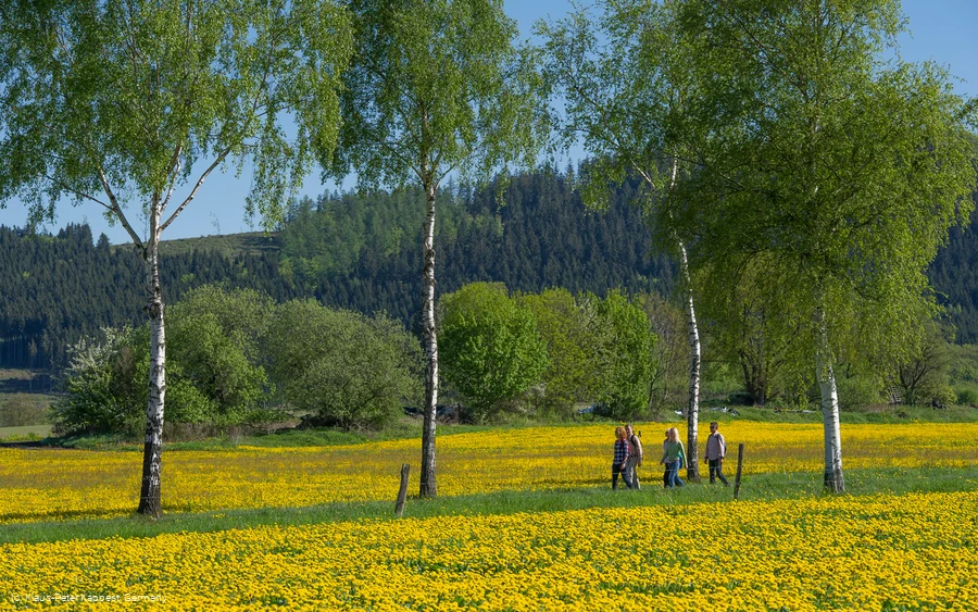 Wandern im Schmallenberger Sauerland