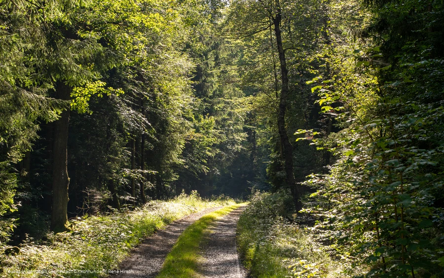 Wanderweg an der Einsiedelei