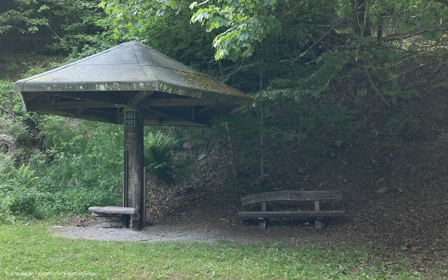 Wetterpilz am Waschkump