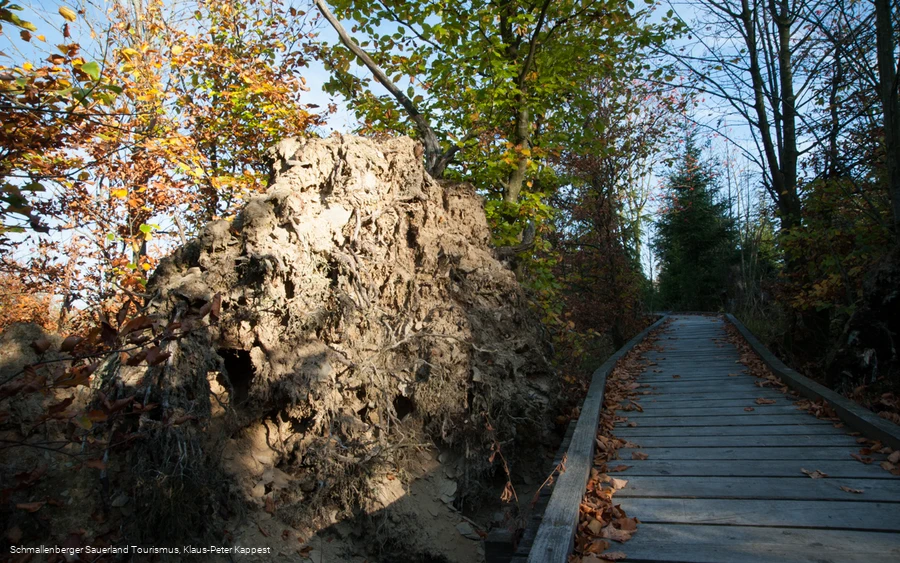 Kyrillpfad in der Abenddämmerung