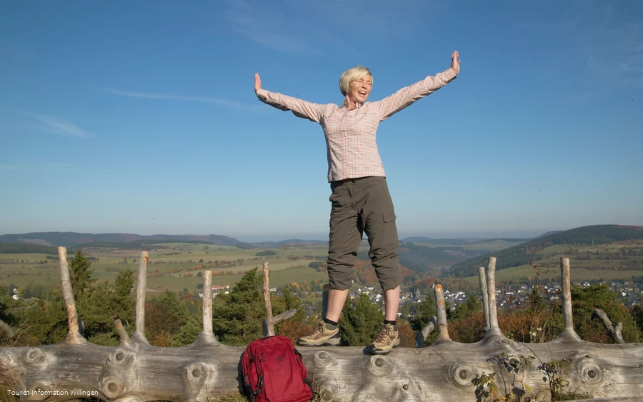 Frau auf Baumstamm mit toller Aussicht