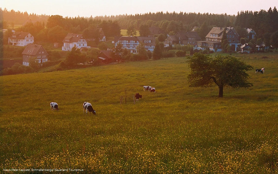 Höhendorf Schanze im Schmallenberger Sauerland