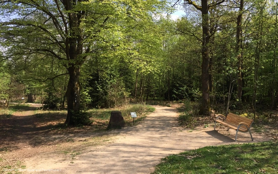 Naturerlebnispfad Hohe Bracht