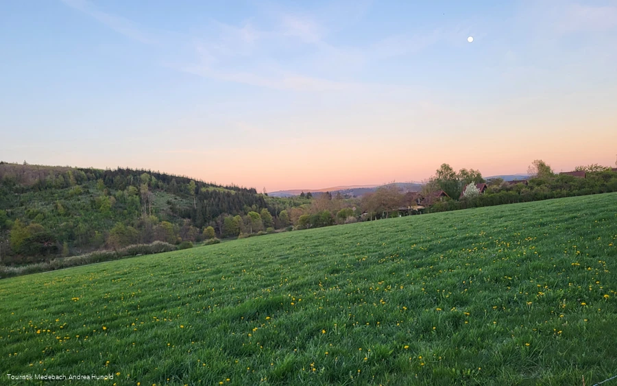 Unterwegs auf dem Amselpfad