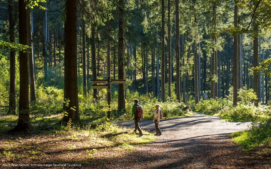 Wandern auf dem Kahlen Asten Steig
