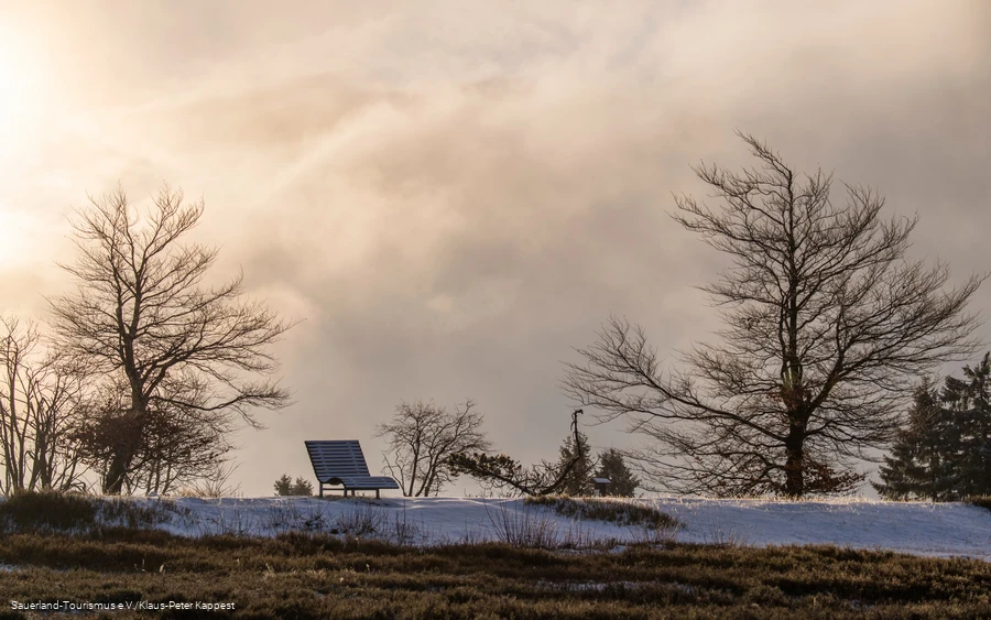 Wintermorgen auf dem Kahlen Asten mit einer Bank