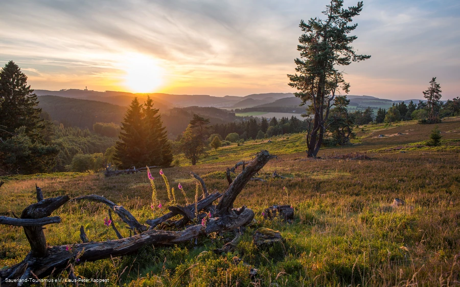 Hocheidelandschaft Kahle Pön