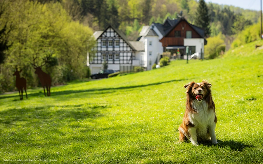 Hotel und Gasthof Hubertushöhe