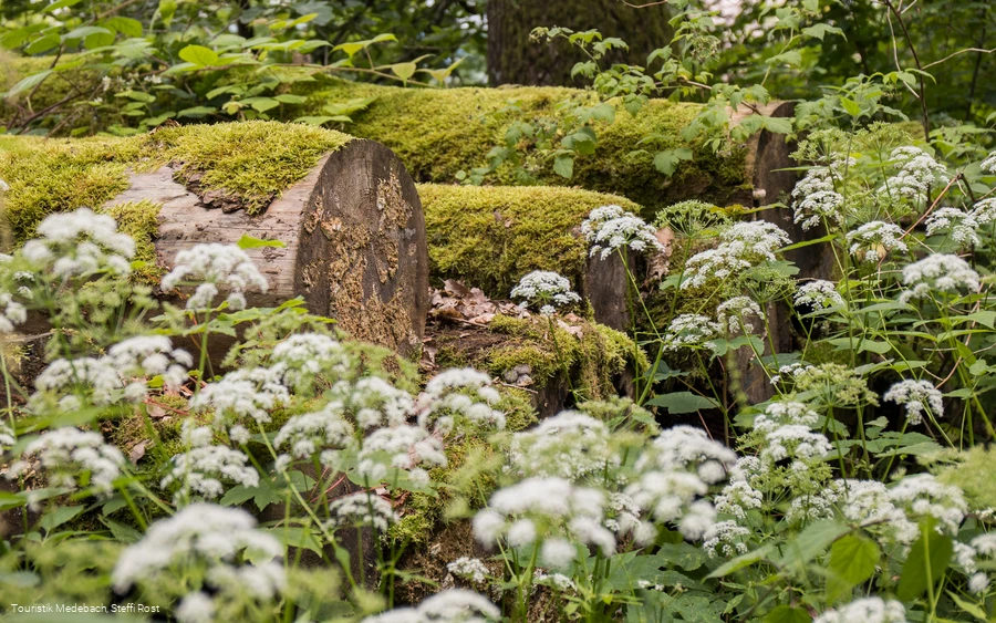 Natur bei Glindfeld