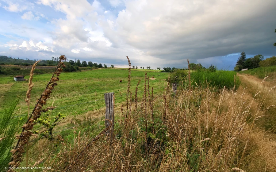 Sommer im Gelängetal in Medebach