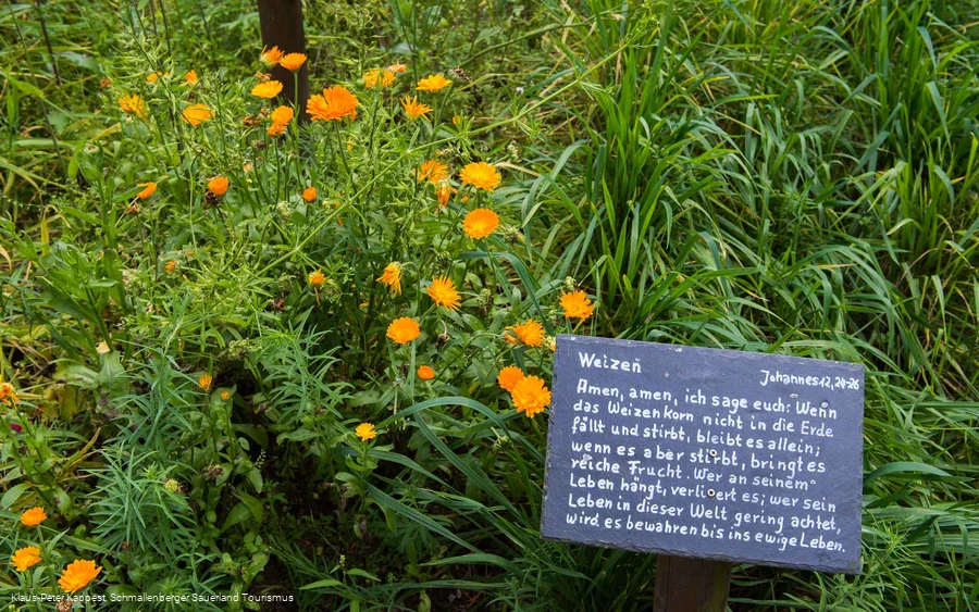 Bibelgarten in Lenne