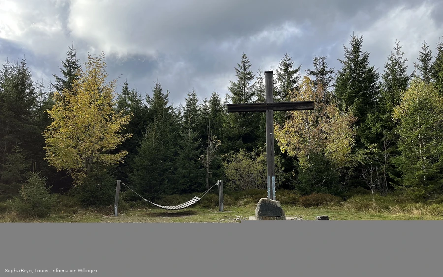 Gipfel des Langenbergs - höchster Berg des Sauerlands