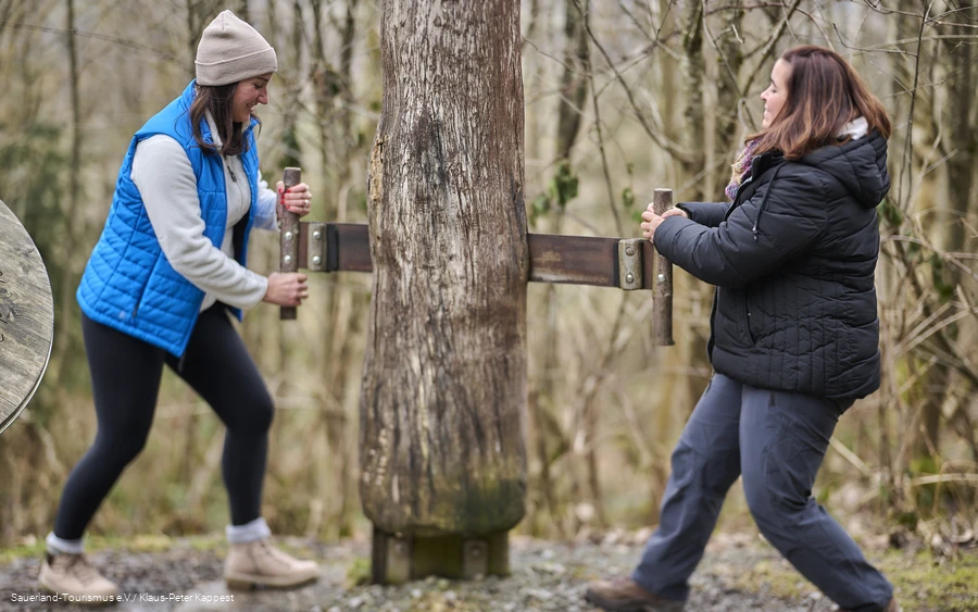 Säge am Baum Zwei Frauen versuchen einen Baum abzusägen