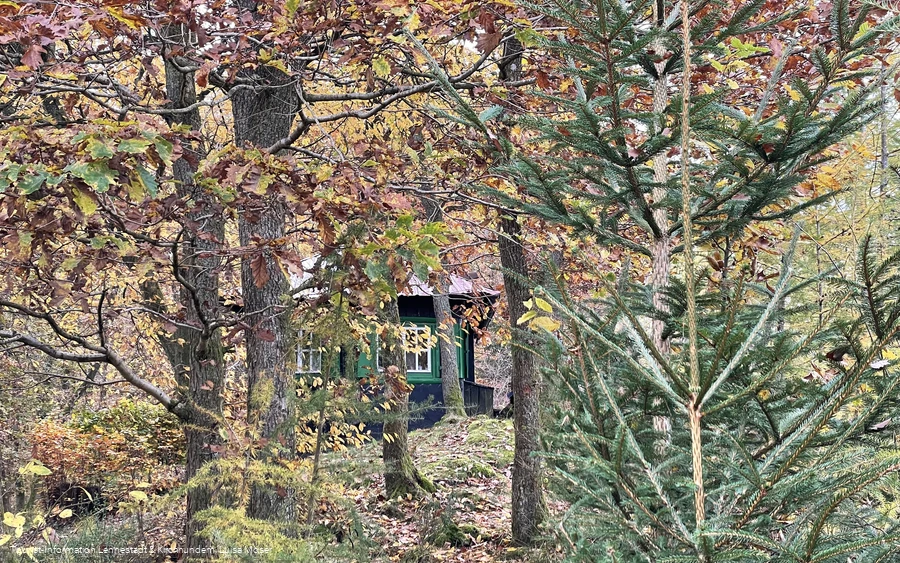 Waldlehrpfad Saalhausen