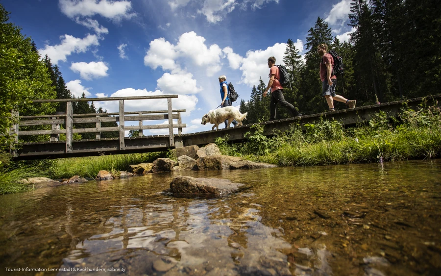 Wandern im Schwarzbachtal
