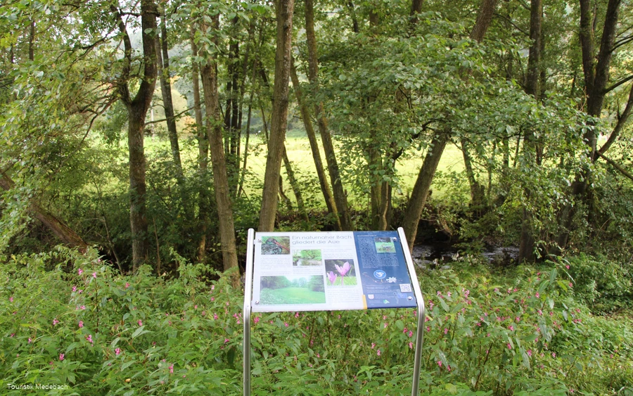 Infotafel am Orkepfad