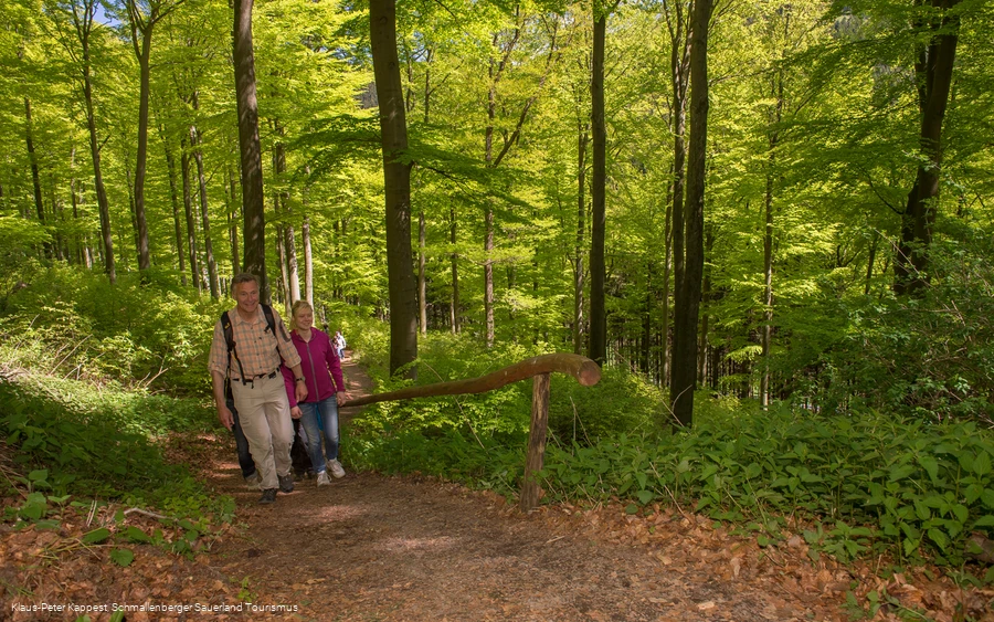 Wandern im Sorpetal