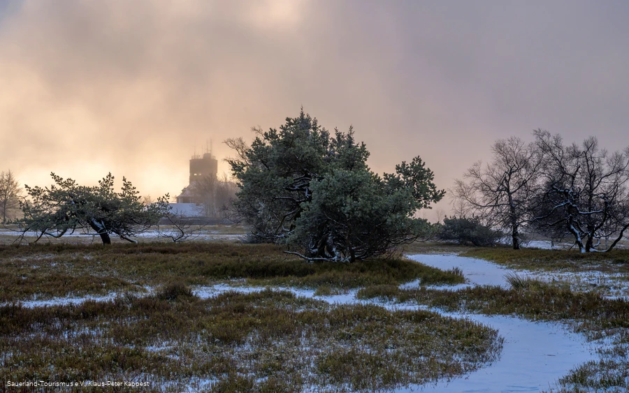 Der Astenturm im Polarnebel im Winter