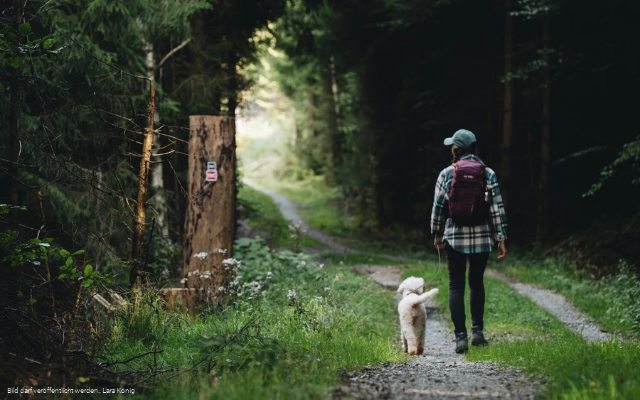 Wanderin mit Hund auf einem Waldweg auf dem Rothaarsteig