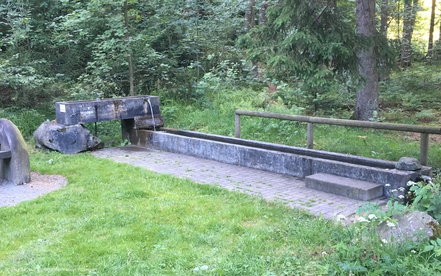 Kneippanlage am Waschkump