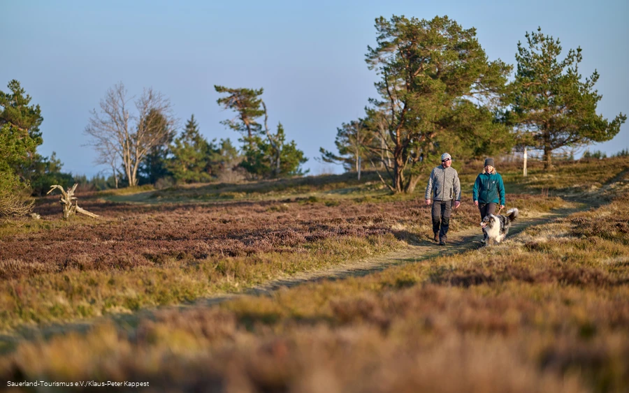 Ein Wanderpaar mit einem Hund in der winterlichen Heidelandschaft