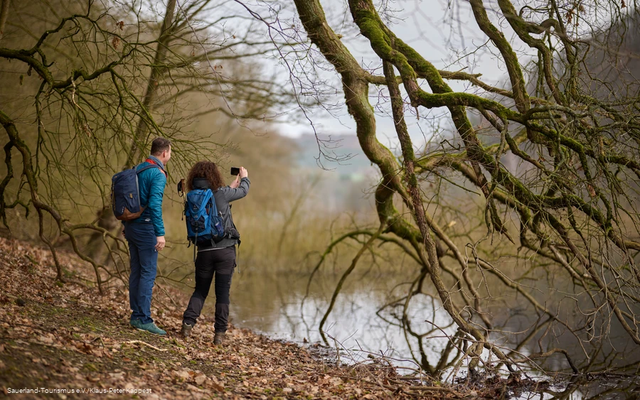 zwei Wanderer fotografieren einen Bieberbau am Diemelsee