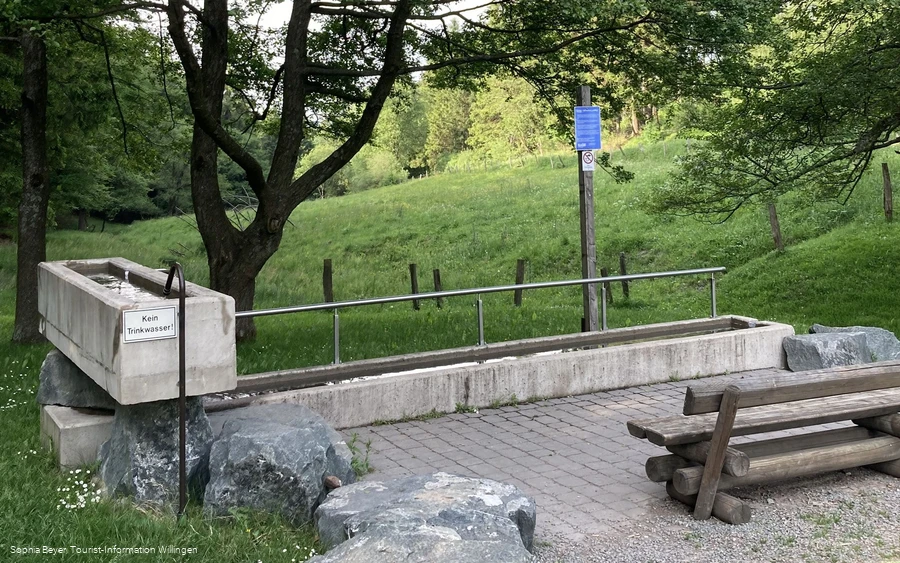 Kneippbecken an der Diemelquelle