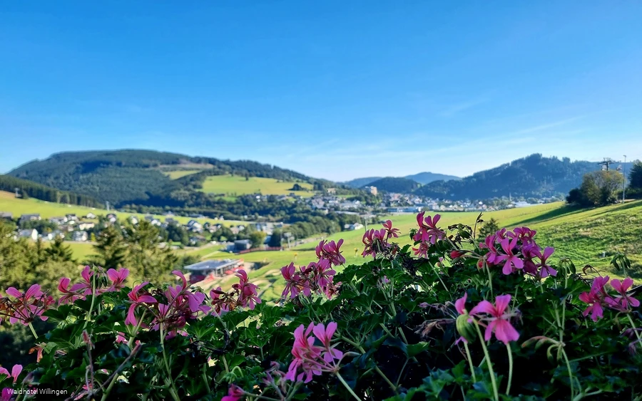 Waldhotel Willingen Aussicht 2.jpg