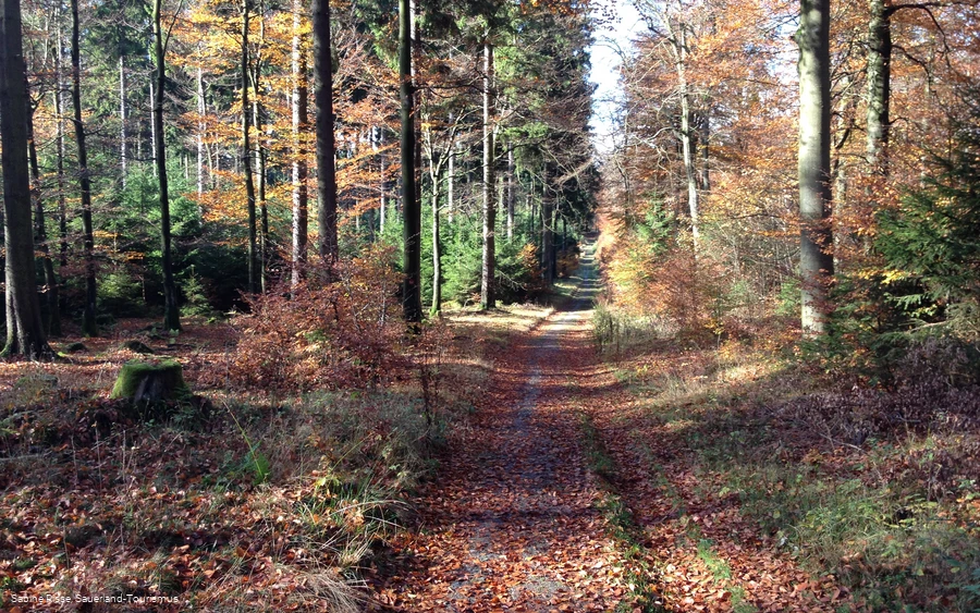 Wandern runf um Latrop