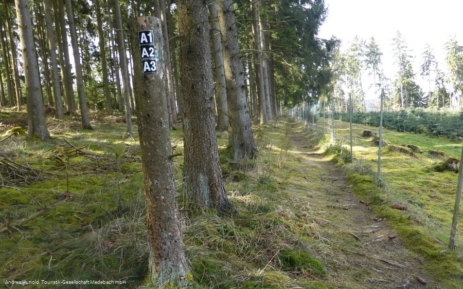 Die A-Rundwege rund um den Weddel in Medebach