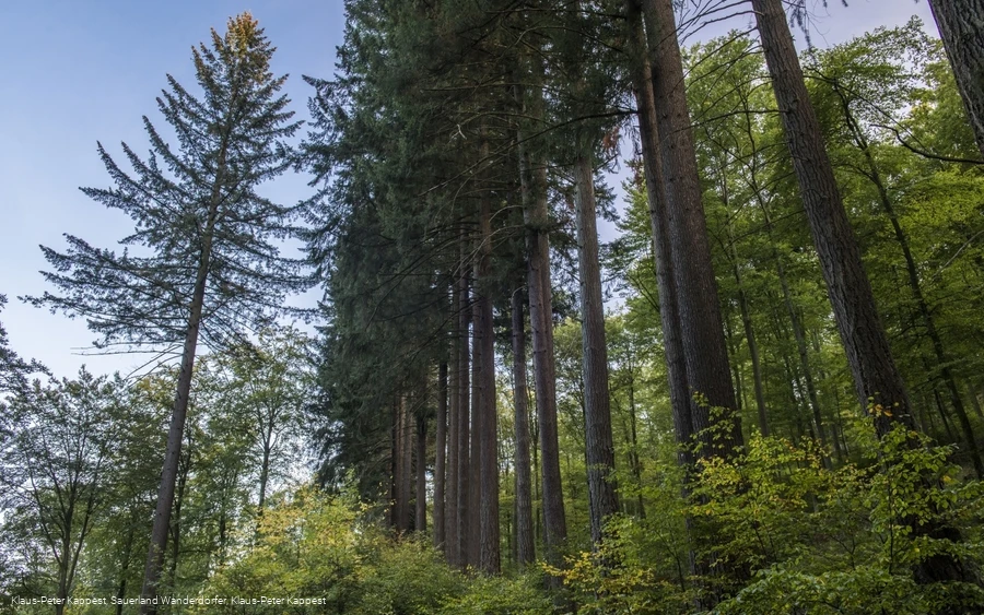 Sauerland-Seelenort Himmelssäulen