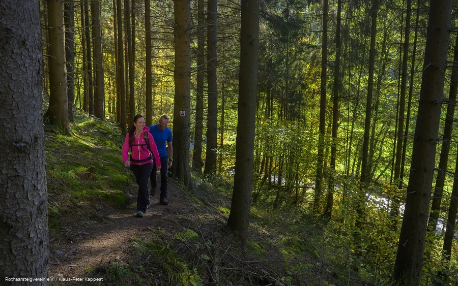 Zwei Personen wandern über die Rothaarsteig-Spur Sorper Panoramapfad