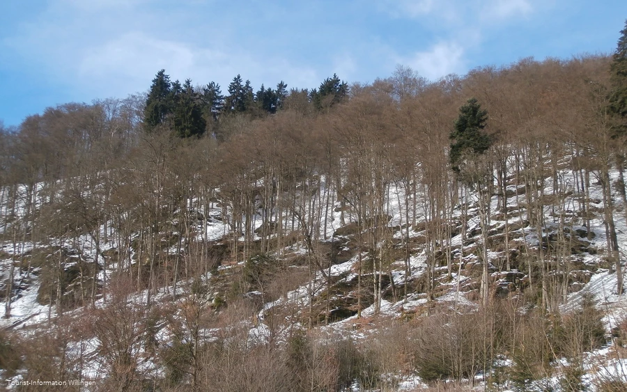 Naturschutzgebiet Grebensteine 
