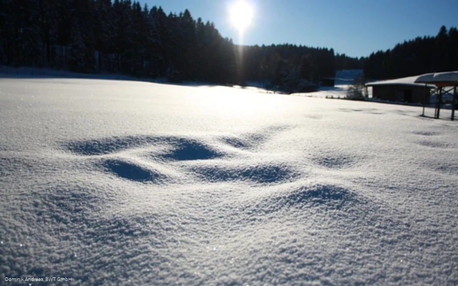 Winter Hilbringse