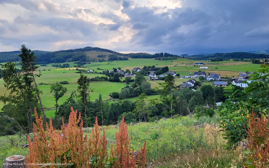 Blick auf Medebach-Oberschledorn