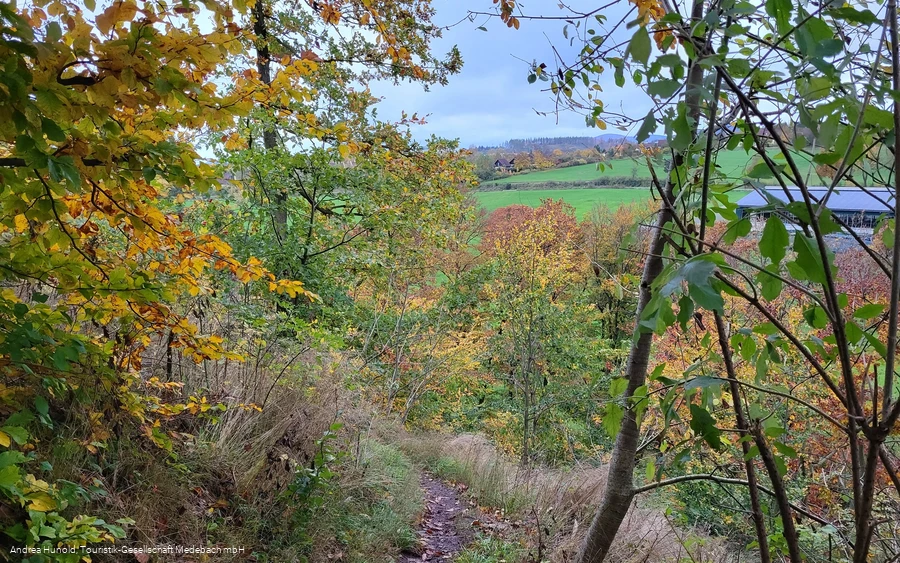 Kleine, naturbelassene Pfade im Weddelberg