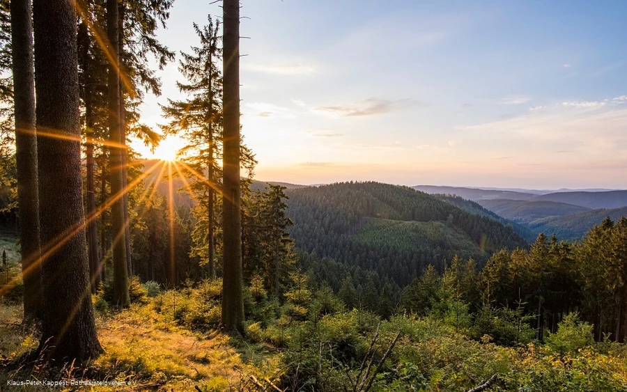 Aussicht vom Grenzweg bei Schmallenberg-Jagdhaus