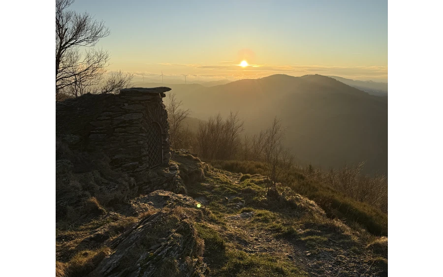 Olsberg Gipfel in der Abendsonne.jpg
