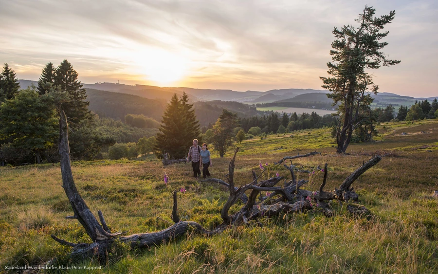 Zwei Wanderer auf der Hochheide Kahle Pön