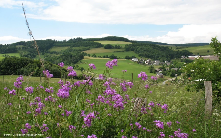 Medebacher Bergweg - Rundwanderung durch Medebach und seine Dörfer