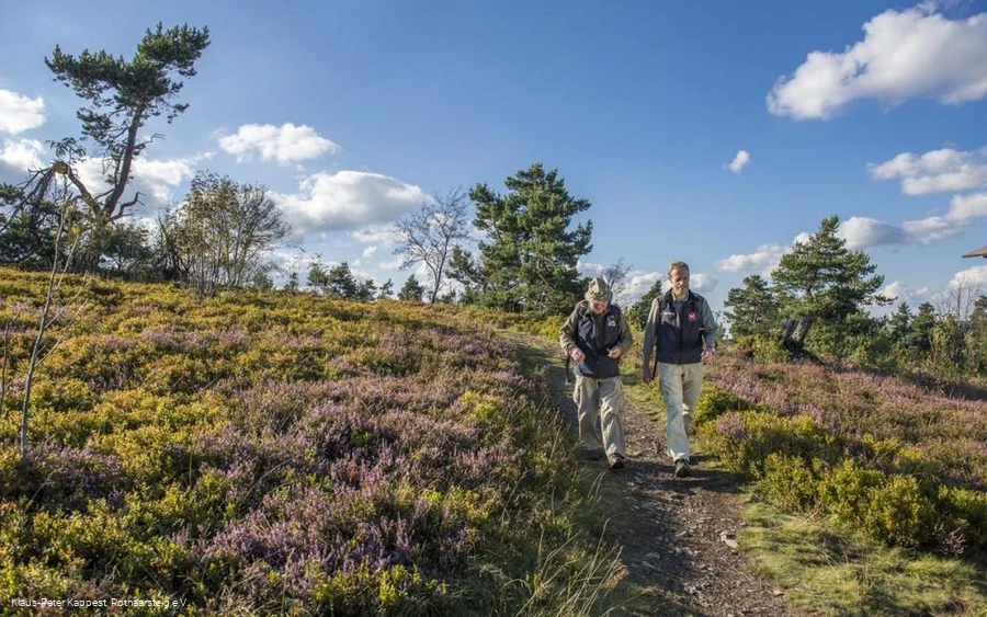 Wanderer in der Heidelandschaft am Kahlen Pön