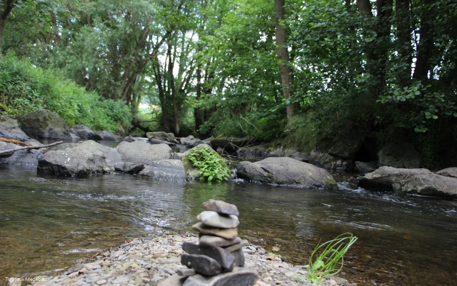 Die Orke bei Medelon